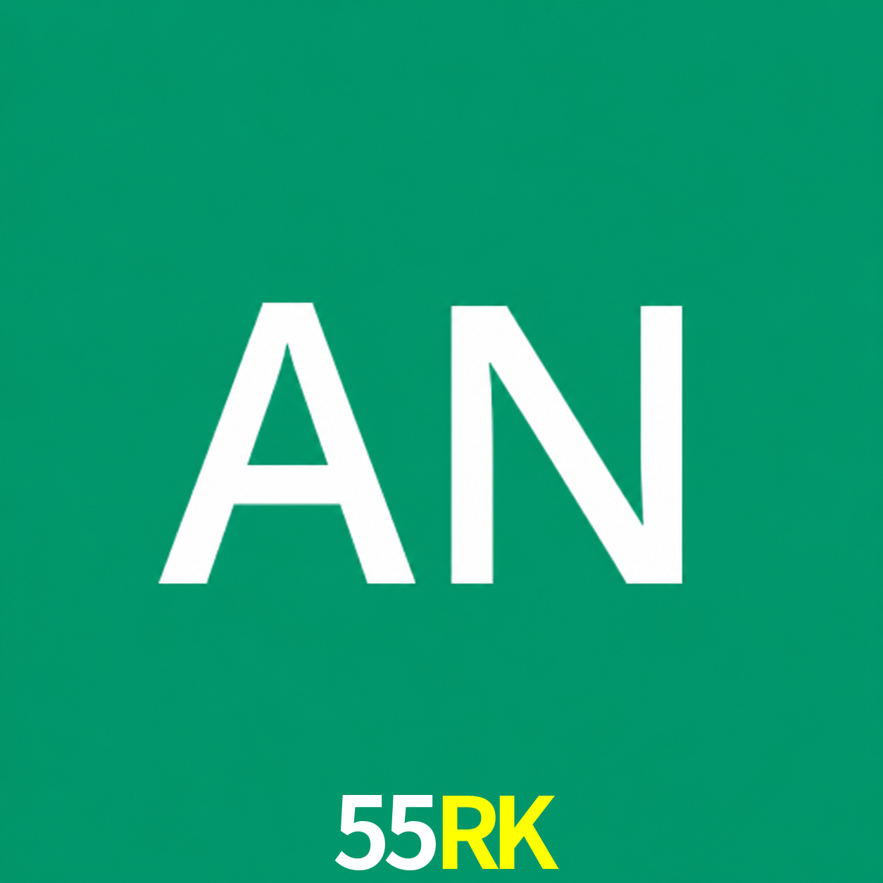 Adi Nugroho - Founder & CEO 55RK Indonesia